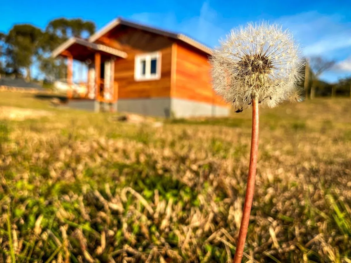 Inn Pousada Flor Do Campestre Urubici